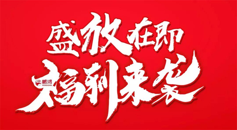 再拓疆域！鵬鴻We+定制&紅星美凱龍聯(lián)袂亮相烏魯木齊