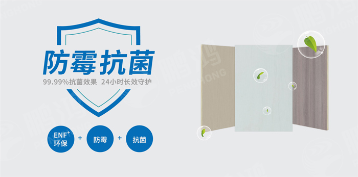 抗菌防霉木質(zhì)裝飾板行業(yè)標(biāo)準(zhǔn)研討工作會(huì)圓滿召開(kāi)